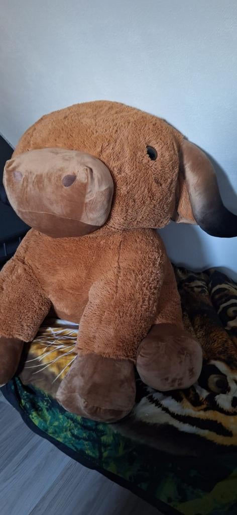 Grote stier, Ophalen of Verzenden, Nieuw, Overige typen