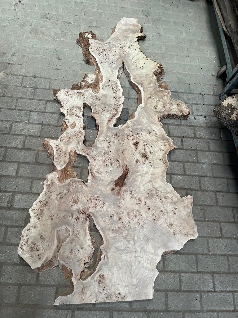 Unieke boomstamplanken met wortelhout voor epoxy bewerking, Doe-het-zelf en Verbouw, Hout en Planken, Nieuw, Plank, Ophalen