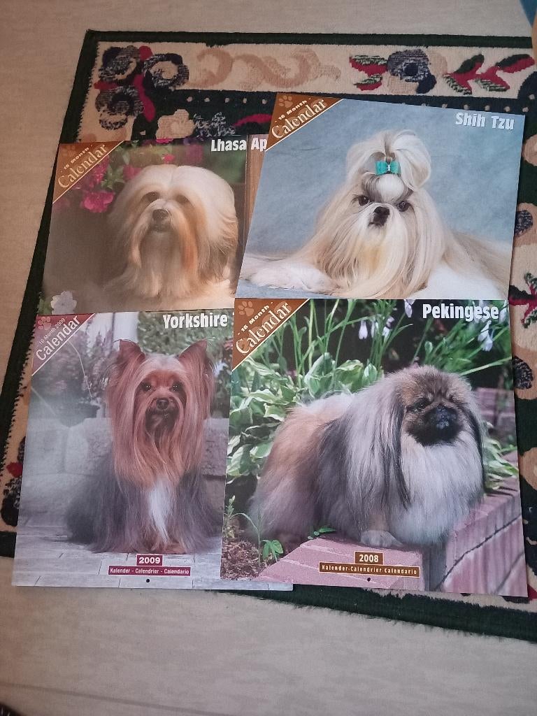 Kalenders met hondjes, Ophalen, Maandkalender, Zo goed als nieuw