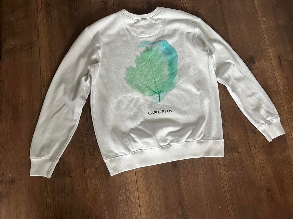 Sweater wit Caprera, Kleding | Dames, Truien en Vesten, Zo goed als nieuw, Maat 38/40 (M), Wit, Ophalen of Verzenden