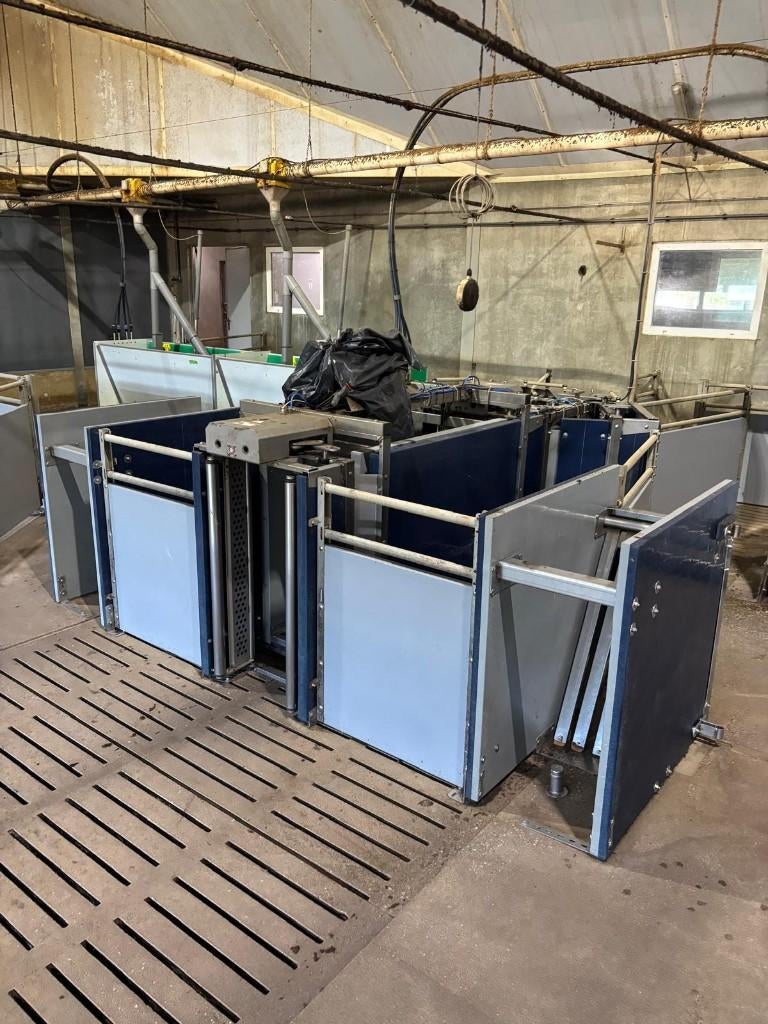 Nedap weegstations voor vleesvarkens [105], Boekhorst Trading, Tim@boekhorsttrading.com, Singel 16, Horssen