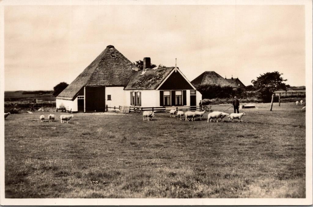 Texel - Zuid-Haffel, Ophalen of Verzenden, 1940 tot 1960, Ongelopen, Waddeneilanden