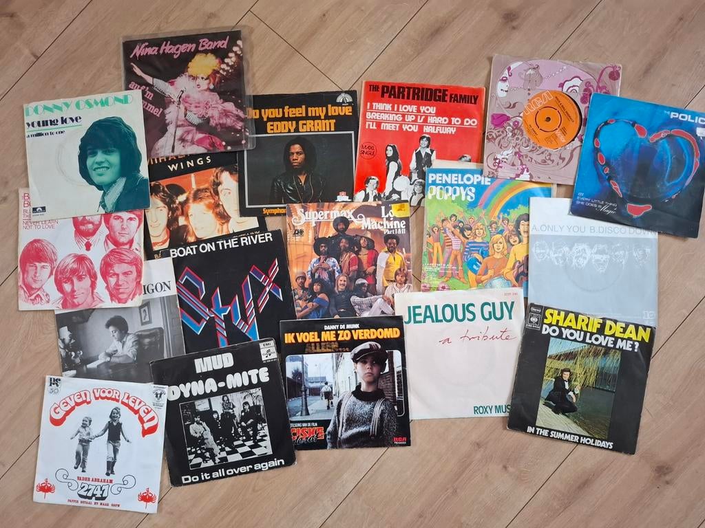 Diverse vinyl singles, o.a. Nina Hagen, Eddy Grant, Mud, Ophalen of Verzenden, Gebruikt, Pop, Single