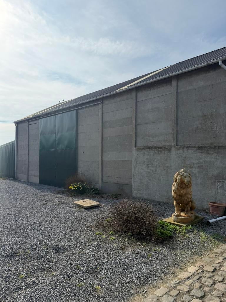 Dak en gevel en opritten reinigen, Ophalen of Verzenden, Zo goed als nieuw, Kunststof, Overige typen