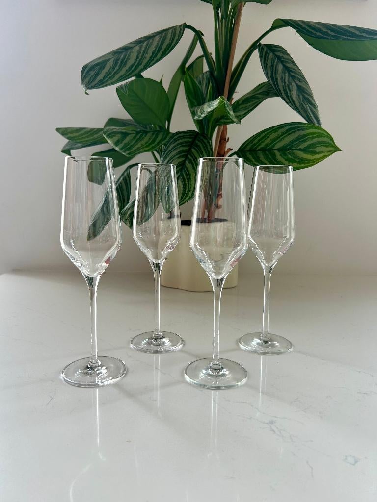 4 of meer Vivo flutes. Vivo Champagneglazen.. Nieuwstaat, Ophalen of Verzenden, Zo goed als nieuw, Overige typen