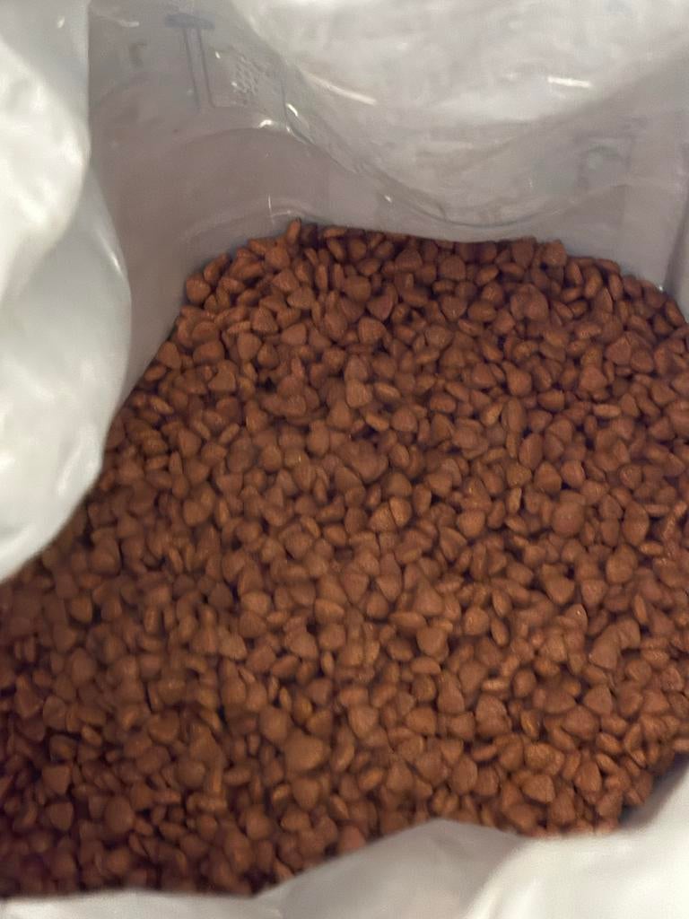 Royal canin brokken, Ophalen, Hond