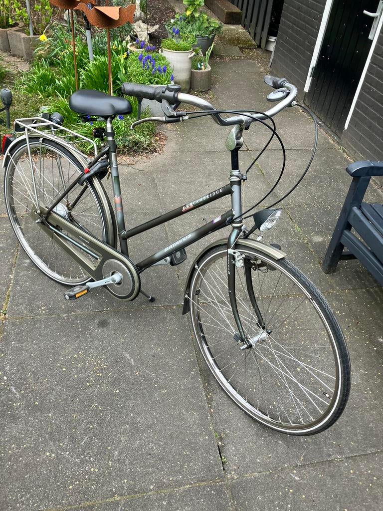 Mooie Batavus Cambridge damesfiets., Ophalen, Versnellingen, Batavus, 53 tot 56 cm
