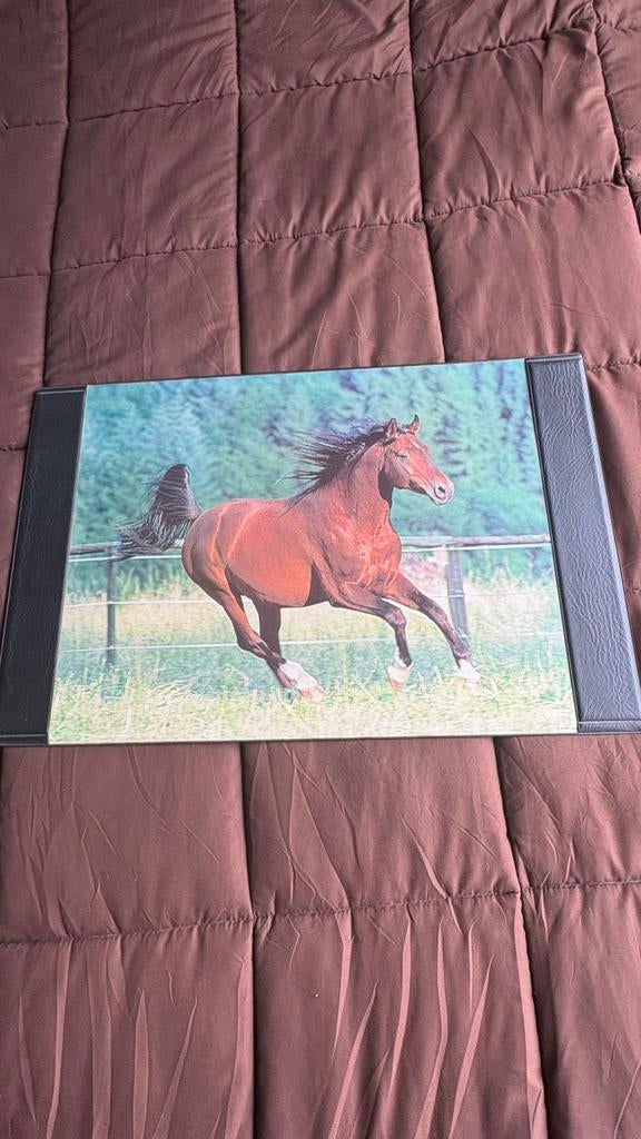 Bureau onderlegger, Ophalen, Gebruikt