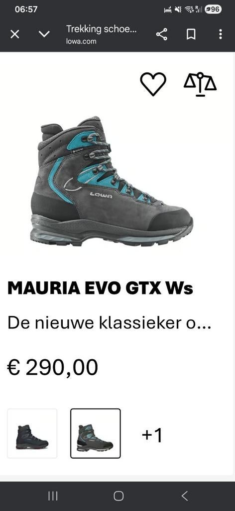 Lowa, wandelschoenen (categorie C), maat 41.5, Ophalen, Schoenen