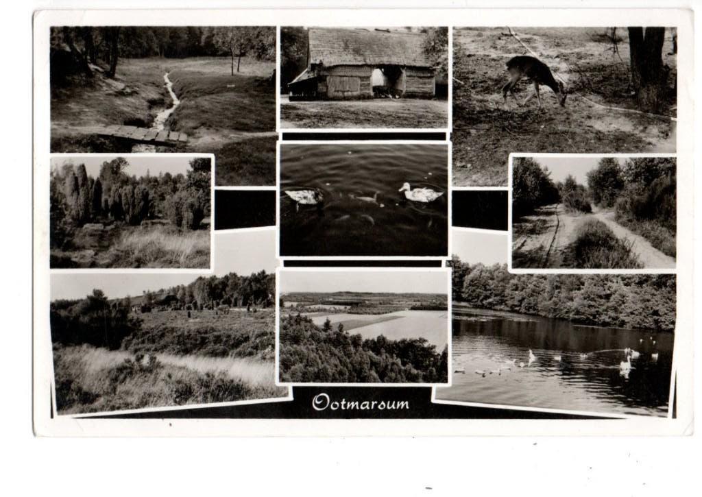 Ootmarsum. Veel luik., Verzenden, 1960 tot 1980, Gelopen, Overijssel