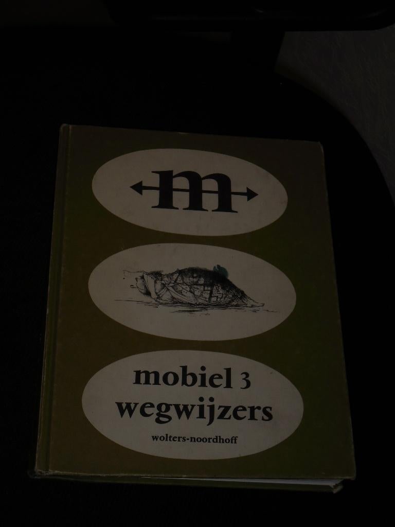 Wegwijzers Mobiel 3, isbn90015897890, Zo goed als nieuw, Wolters Noordhoff, Beta, HBO
