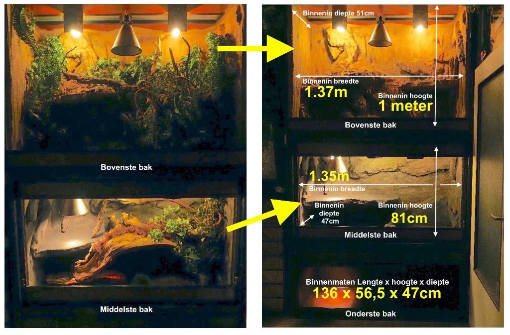 Terrarium stelling 3 betonplex ingericht 259cm hg x151cm br, Dieren en Toebehoren, Reptielen en Amfibieën | Toebehoren, Ophalen