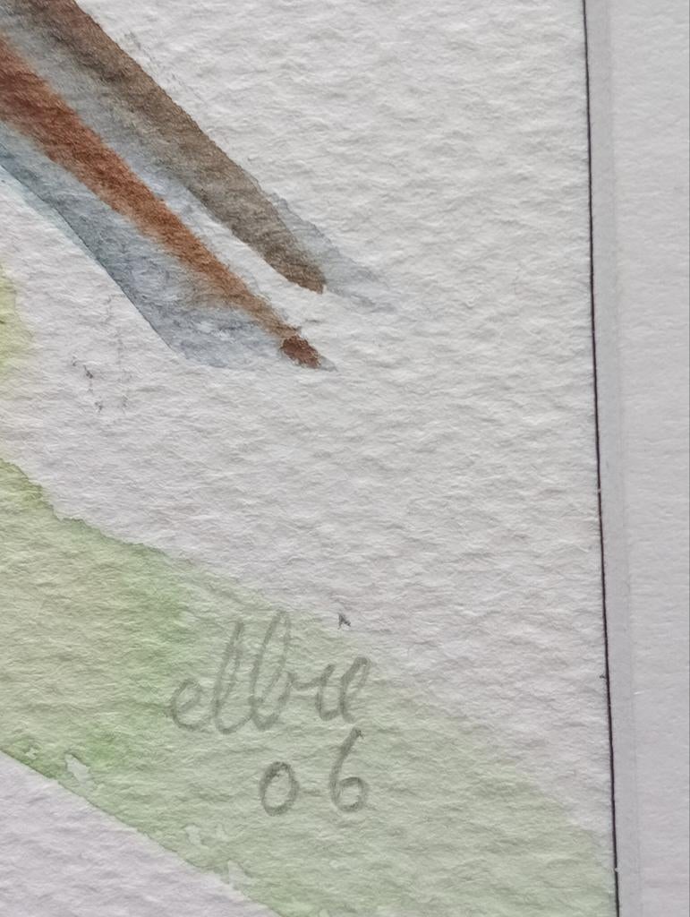 Aquarel Koolmees 2006, Ophalen of Verzenden