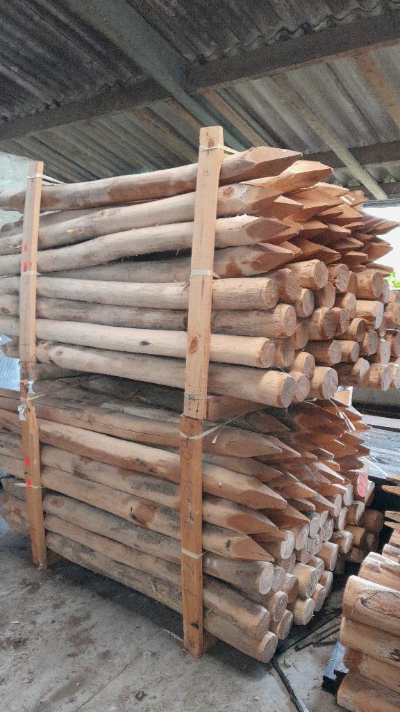 Robiniahouten palen, robinia paal 250cm lang 8-10cm dik, Ophalen, Nieuw, 250 cm of meer, Palen