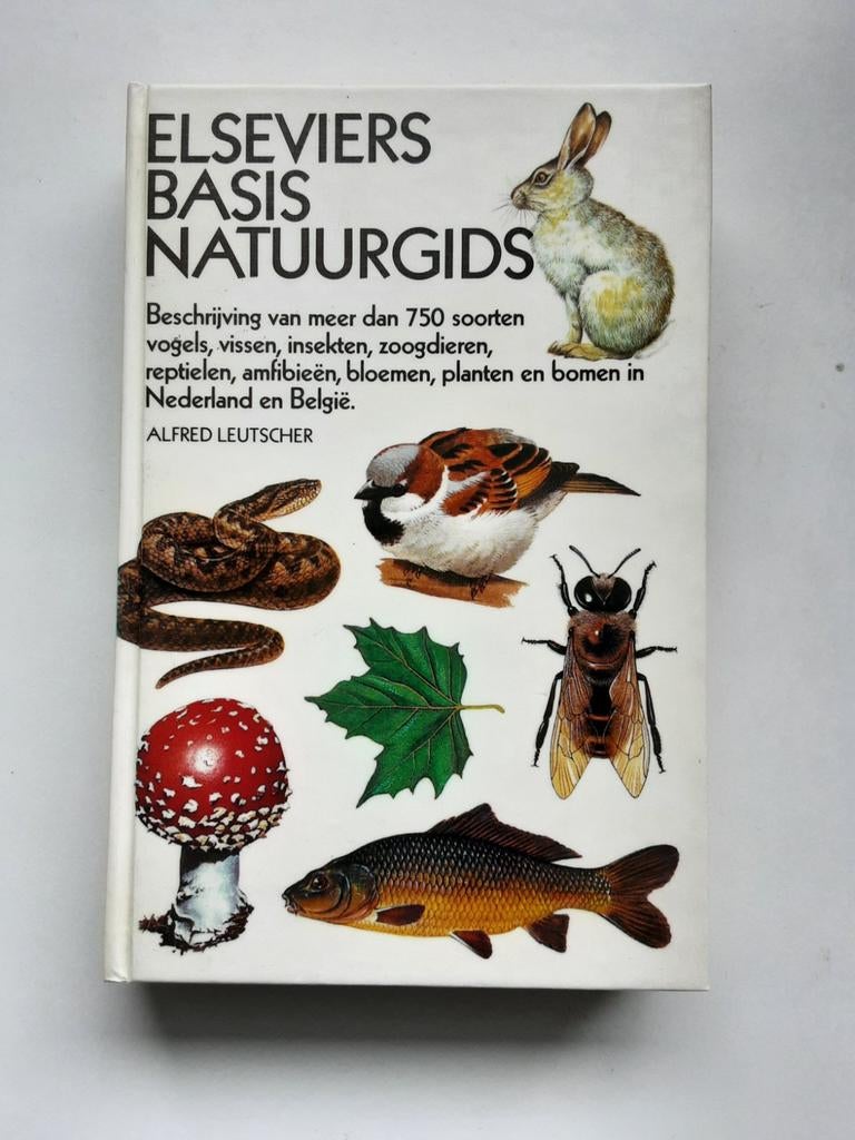 Elseviers Basis Natuurgids - Alfred Leutscher, Boeken, Natuur, Ophalen of Verzenden, Gelezen, Vogels
