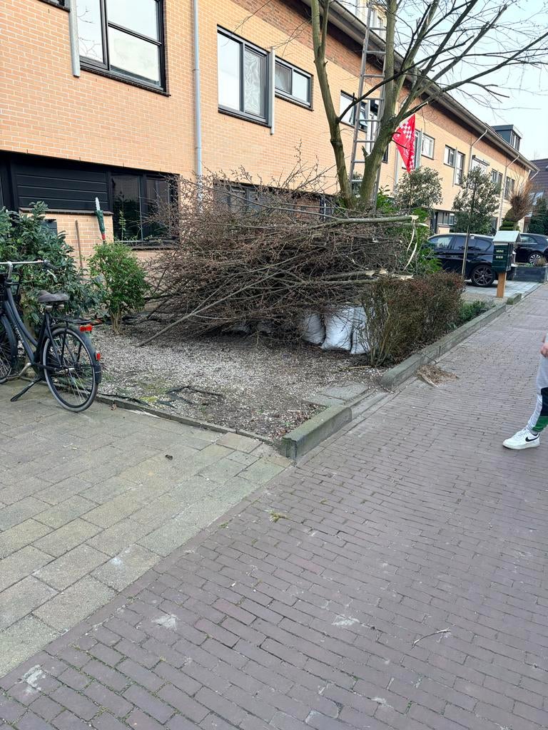 Gratis hout voor paasvuur af te halen, 6 m³ of meer, Ophalen, Overige houtsoorten, Takken
