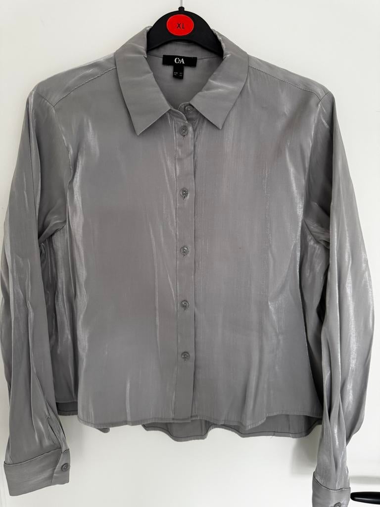 Te koop een mooie zilver kleurige blouse, Ophalen of Verzenden, Zo goed als nieuw, Maat 42/44 (L), Overige kleuren
