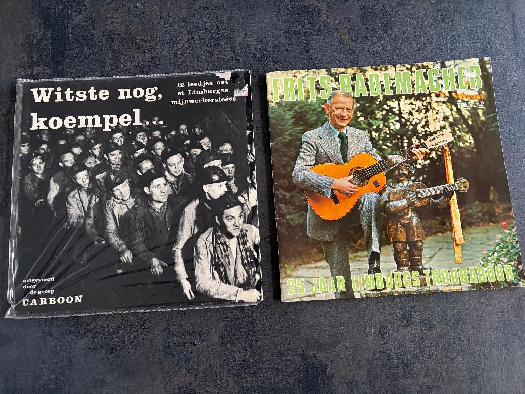 Limburgse Lp's., Cd's en Dvd's, Ophalen of Verzenden, Gebruikt, 12 inch, Streekmuziek