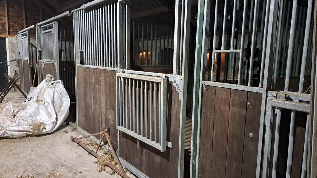 Paardenstallen stalwanden paardenboxen te koop, Ophalen of Verzenden, Zo goed als nieuw, 110 cm of meer