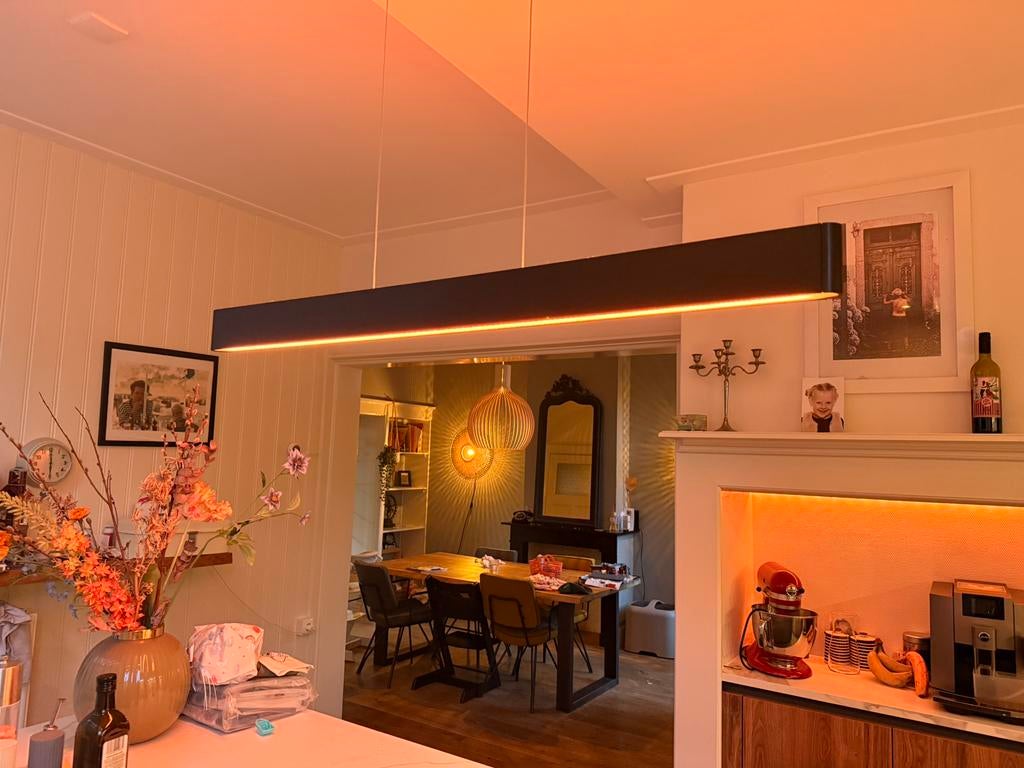 Philips Hue Ensis hanglamp, Huis en Inrichting, Lampen | Hanglampen, Ophalen of Verzenden, Zo goed als nieuw, Minder dan 50 cm