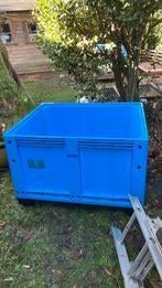 Quarantaine bak, Karper of Koi