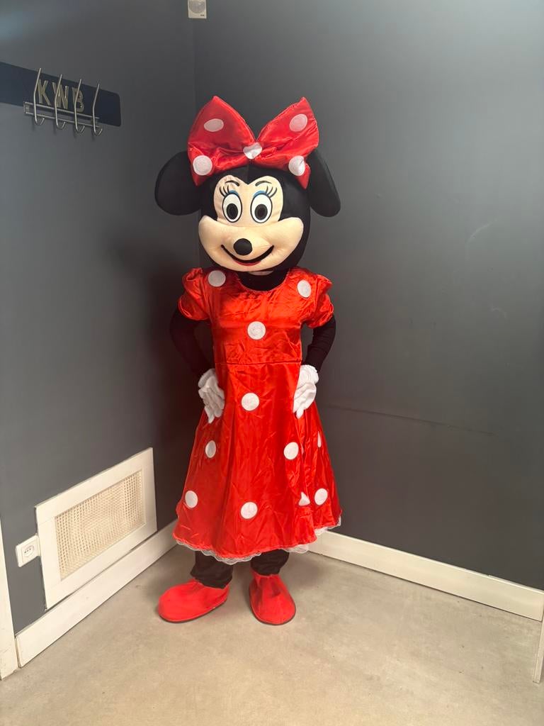 Mascotte pakken te huur bumba labubu chase frozen spongebob, Ophalen, Gebruikt, Verjaardag