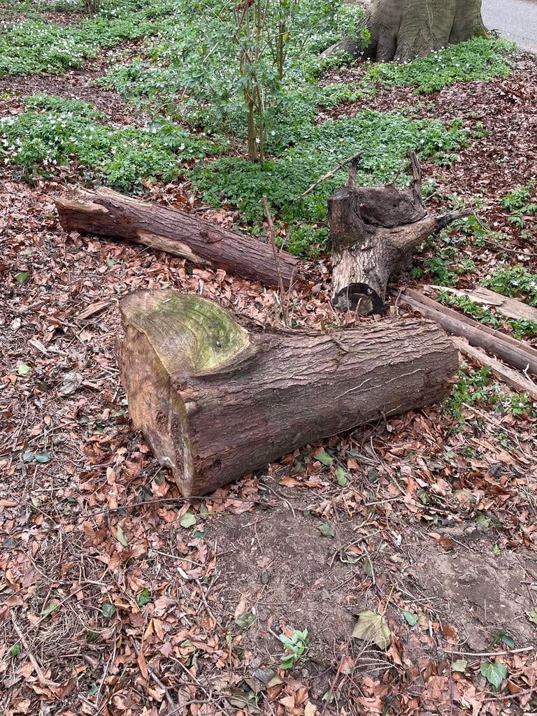 Stammen naaldhout, Tuin en Terras, Haardhout, Minder dan 3 m³, Ophalen
