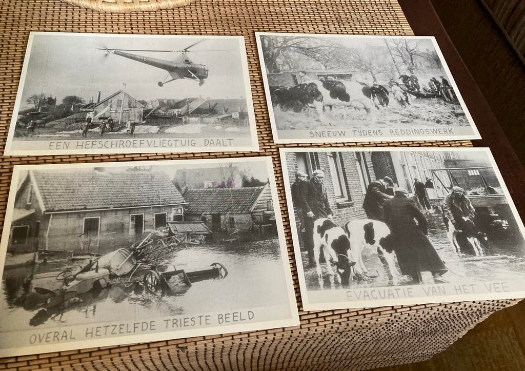 Oude foto’s, (repro) van de Watersnoodramp 1953 (8 stuks), Verzamelen, Ansichtkaarten | Nederland, Ophalen of Verzenden, 1940 tot 1960