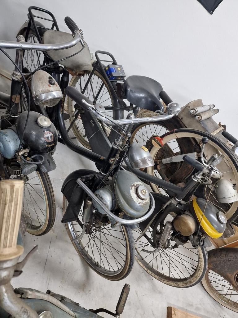 Gezocht flandria kingline, Ophalen, Overige merken