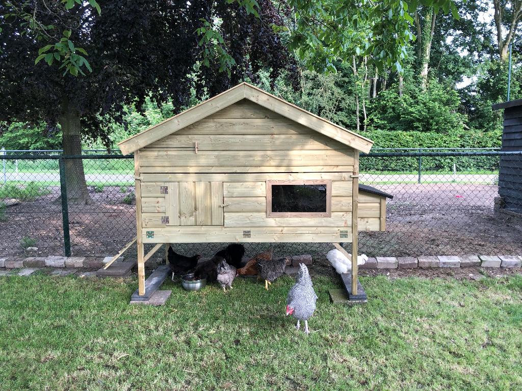 kippenhokken, Ophalen of Verzenden, Nieuw