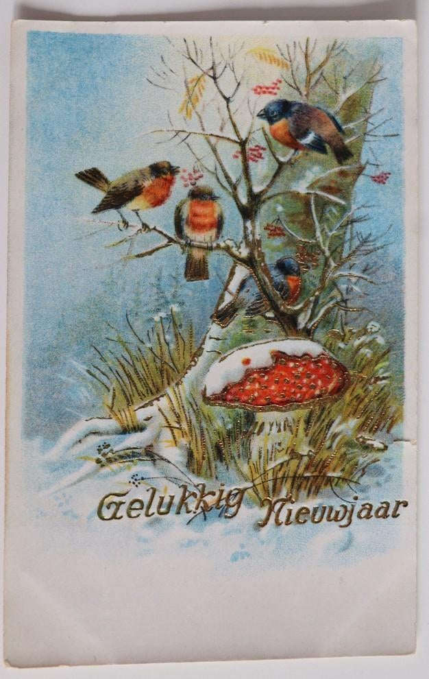 Nostalgische kaart goudvinken, gelukkig nieuwjaar, Ophalen of Verzenden, 1960 tot 1980, Gelopen, Vogel