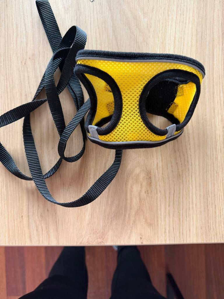 Gratis kitten tuigjes, Ophalen of Verzenden, Gebruikt