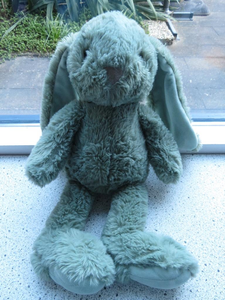 Groen velours konijn van Action merk ZD Trading, Kinderen en Baby's, Speelgoed | Knuffels en Pluche, Konijn, Ophalen of Verzenden