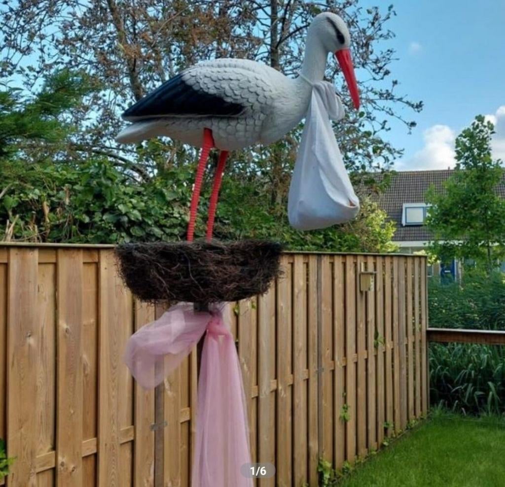 Geboorte ooievaar te huur, Verzamelen, Foto's en Prenten, Ophalen, 1980 tot heden, Nieuw, Overige onderwerpen