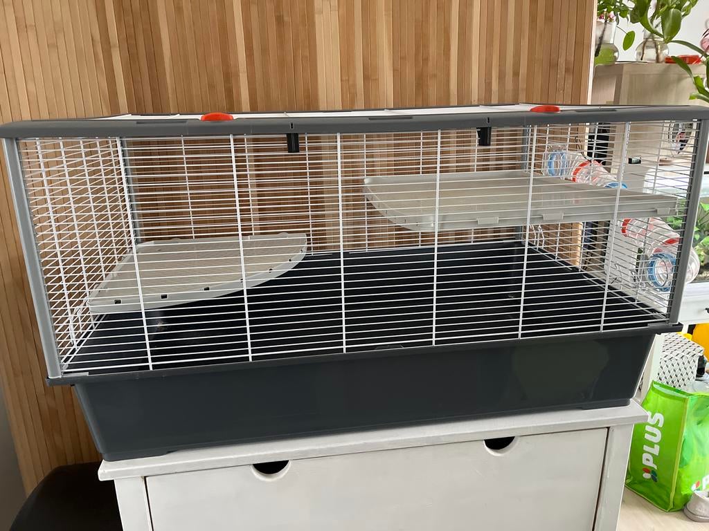 Syrische hamster hok, Gebruikt, Minder dan 75 cm, Ophalen, Minder dan 60 cm