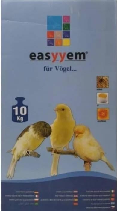 Eivoer kanarie Easyyem, Mannelijk, Kleurkanarie