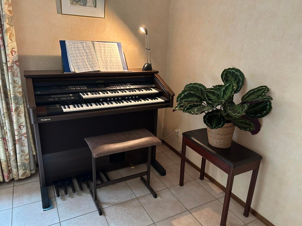 Elektrisch Orgel Roland, Ophalen, Zo goed als nieuw, 2 klavieren, Orgel