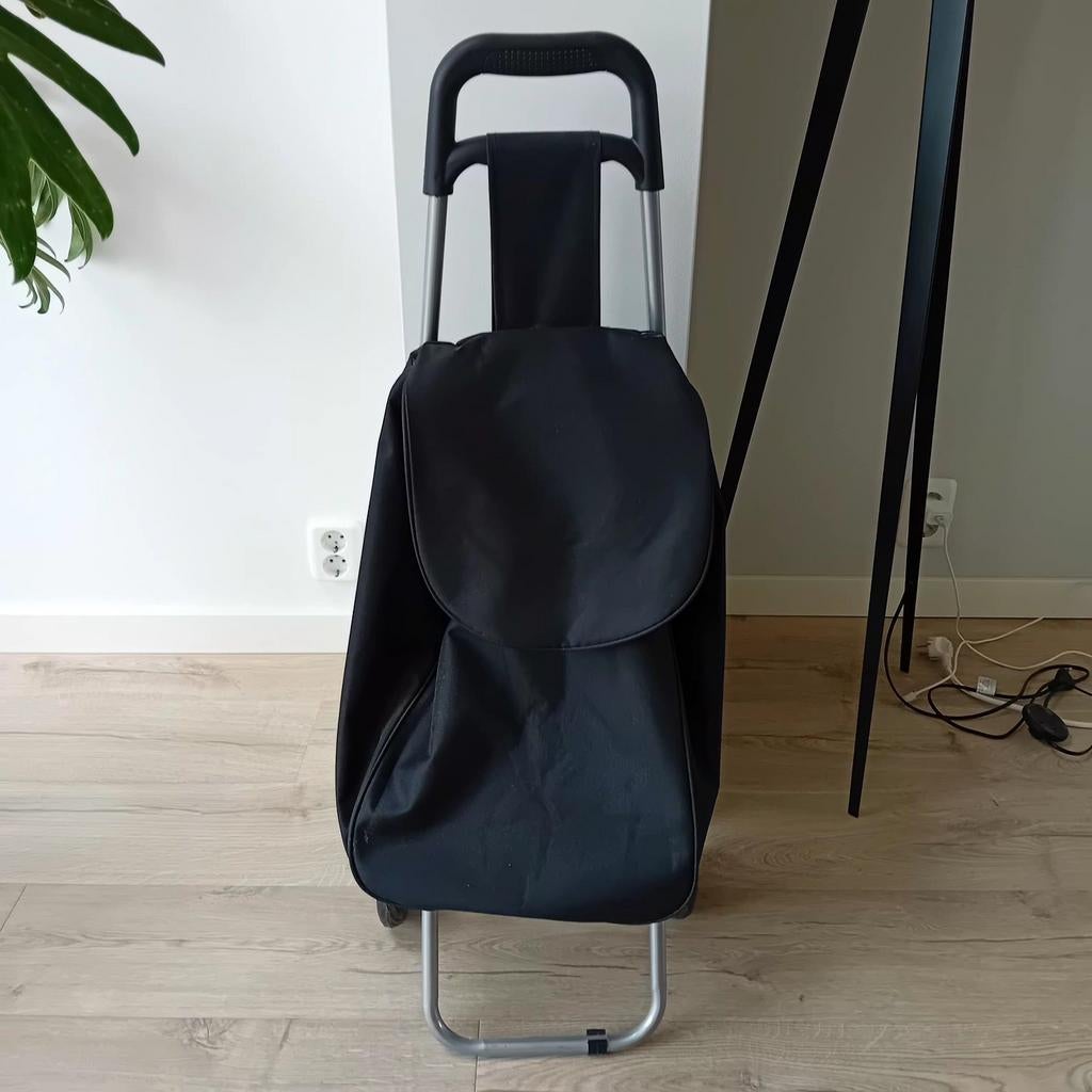 Boodschappen trolley, Ophalen, Zo goed als nieuw, 30 cm of meer