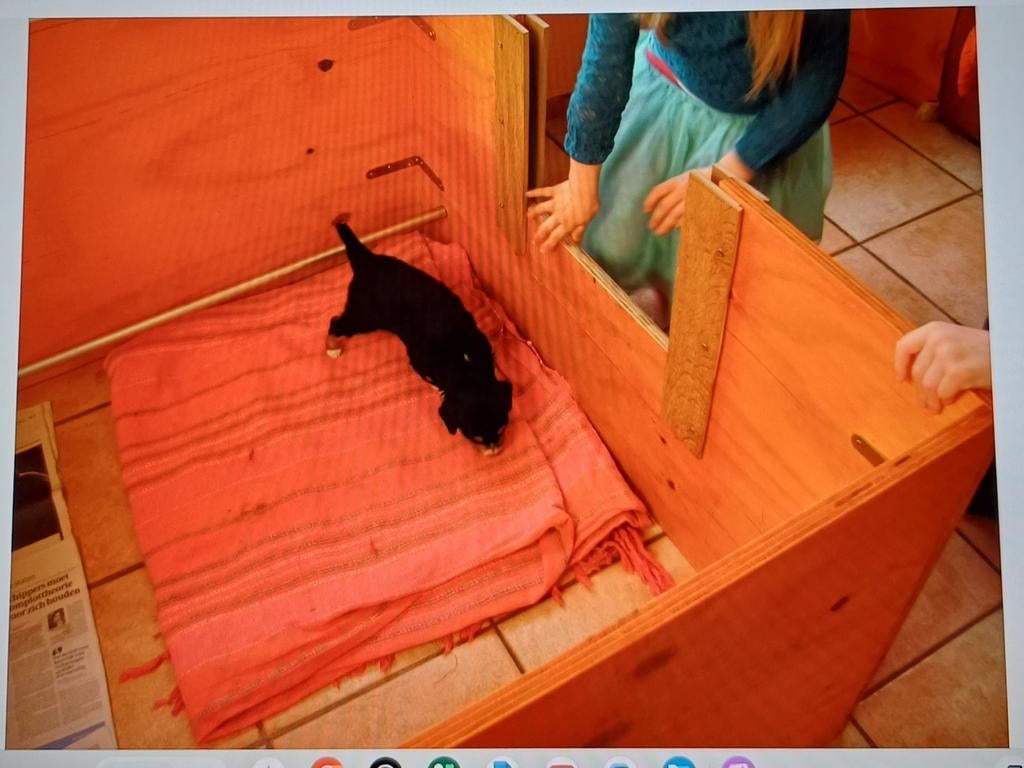 Werpkist; hoog - 73 cm;  breed- 110 cm;  diep - 135 cm., Ophalen of Verzenden