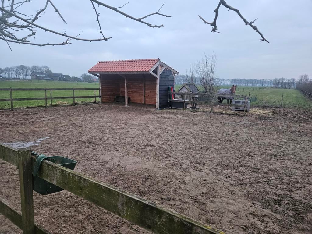Paarden stalling aangeboden 24/7 buiten, Dieren en Toebehoren, Weidegang