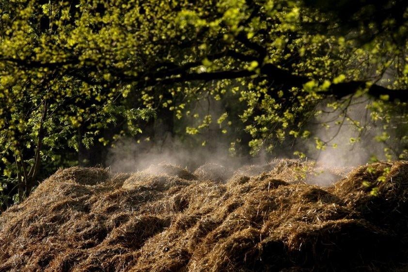 Mest wordt geladen met kraan gratis!, Ophalen, Tuinaarde