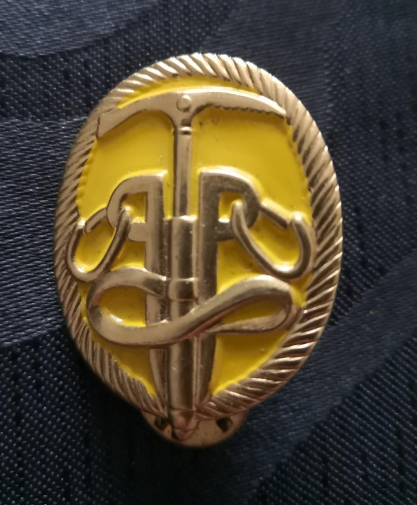 KL brevet Instructeur Klimtoren, Verzenden, Landmacht, Nederland, Embleem of Badge