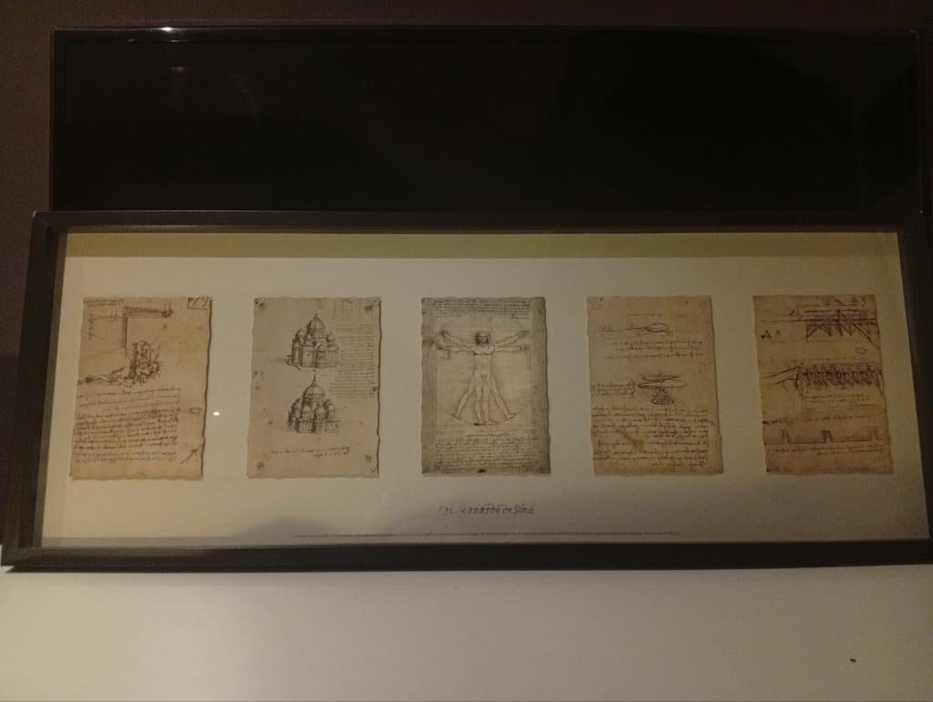 DaVinci ingelijste schetsen IKEA Olunda., Ophalen, Gebruikt, 50 tot 75 cm, 75 tot 100 cm