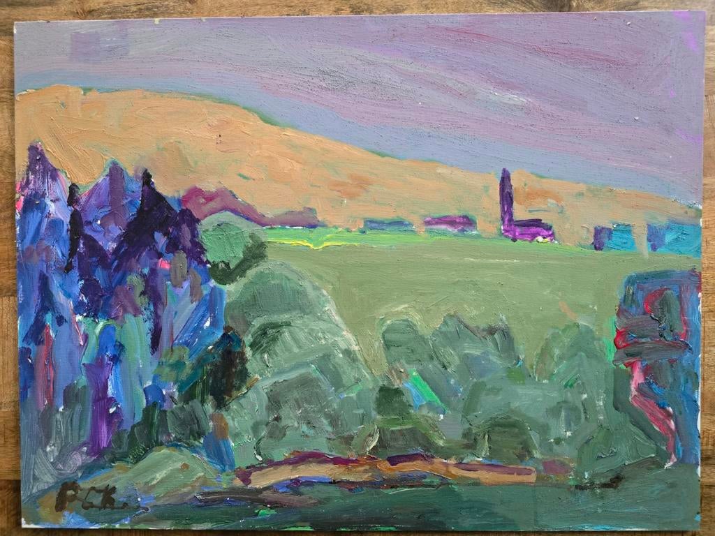 Schilderij P.C. Kuiper - Expressief landschap (dubbelzijdig), Ophalen of Verzenden