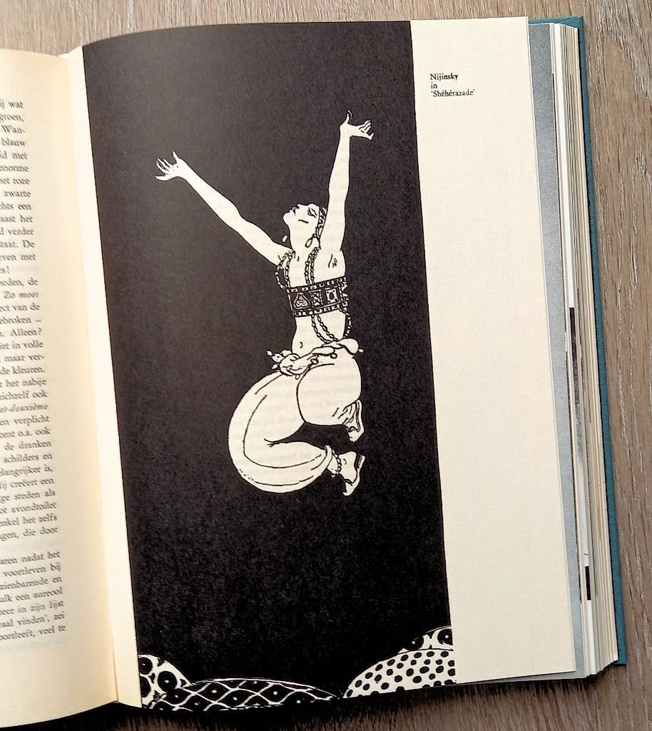 Het doek gaat op. 25 eeuwen in en om het Europese theater, Boeken, Ophalen of Verzenden, Gelezen, Toneel