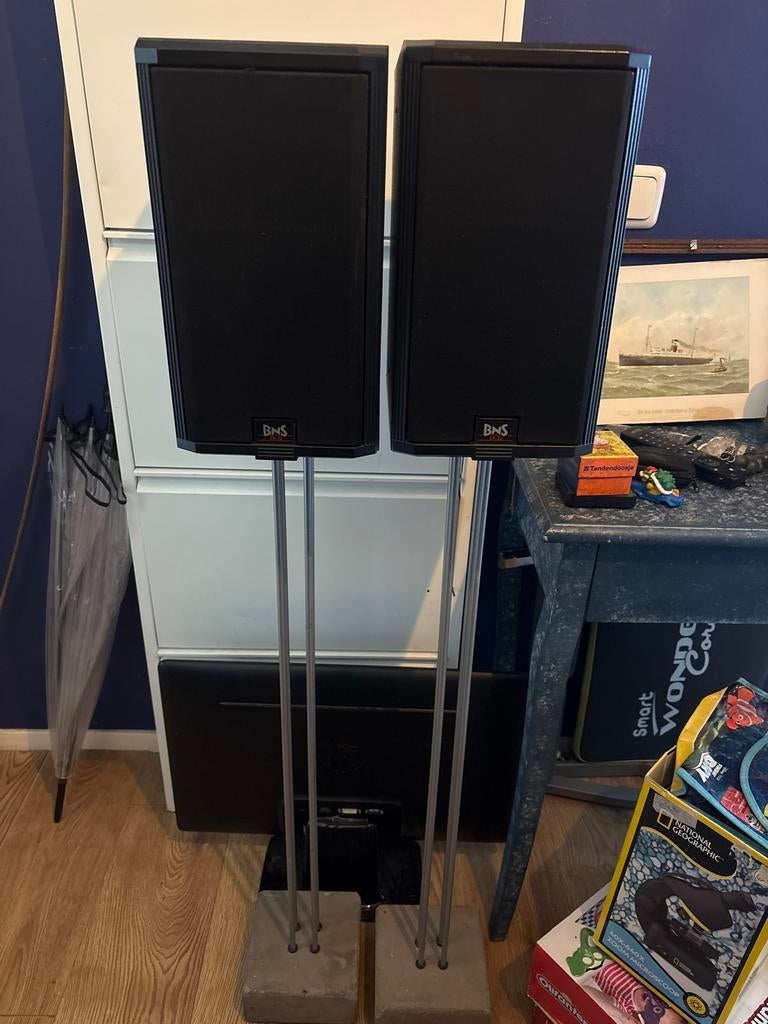 BNS EX-22 luidsprekers, Audio, Tv en Foto, Luidsprekers, Overige merken, Gebruikt, Ophalen of Verzenden, Minder dan 60 watt