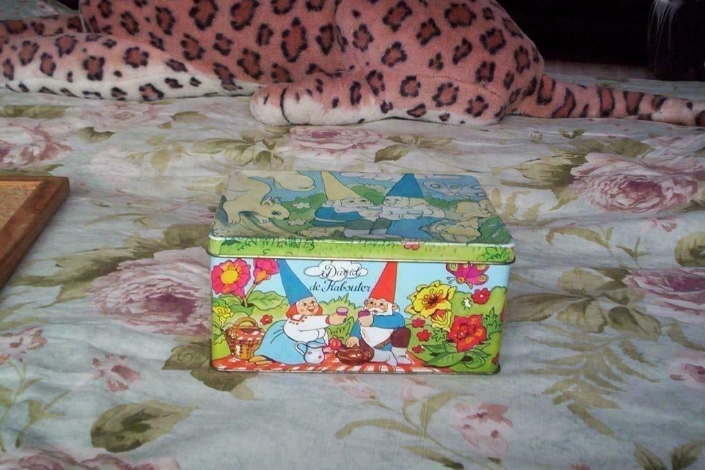 david de kabouter lisa blik gebruikte staat rien poortvliet, Ophalen