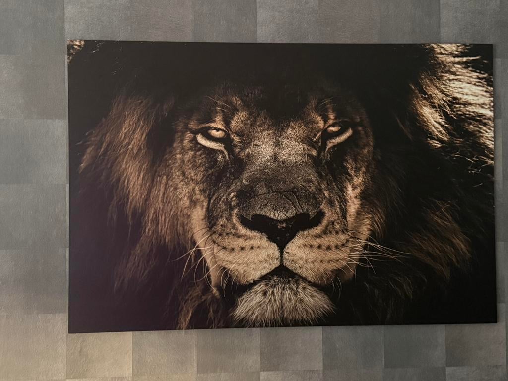 Aluminium fotolijst leeuw 120x80, Ophalen, Zo goed als nieuw