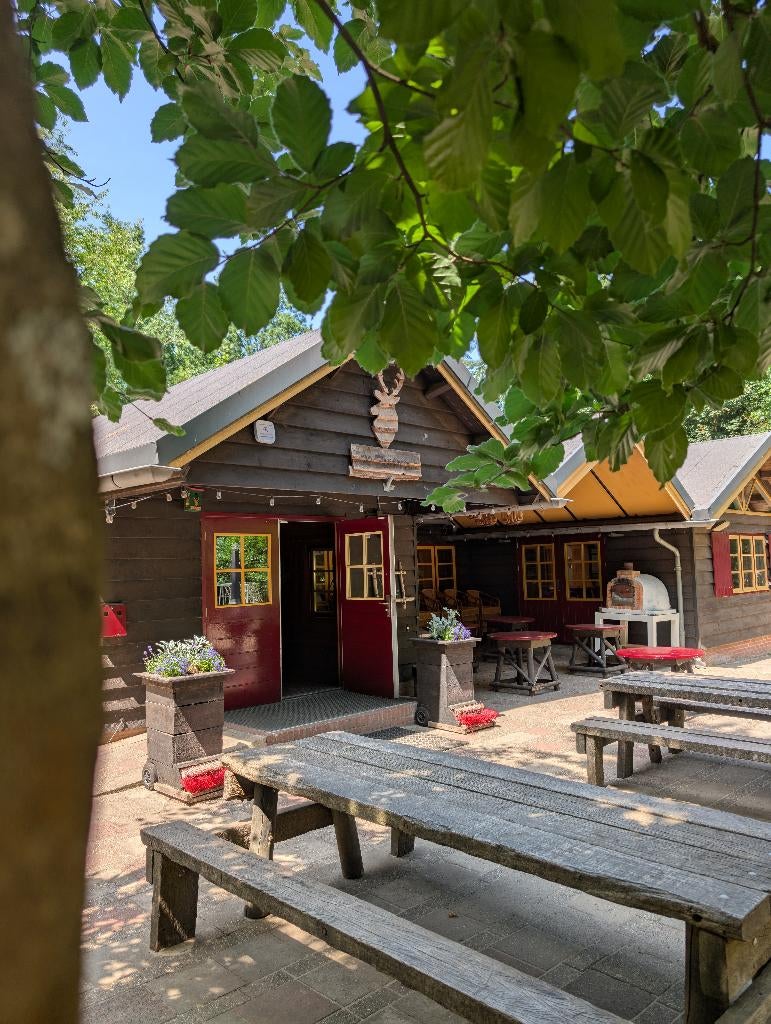 Last minute! Groepsaccommodatie de Zuiderzon - max 58 pers, Groepsaccommodatie, In bos, Overige typen, Open haard