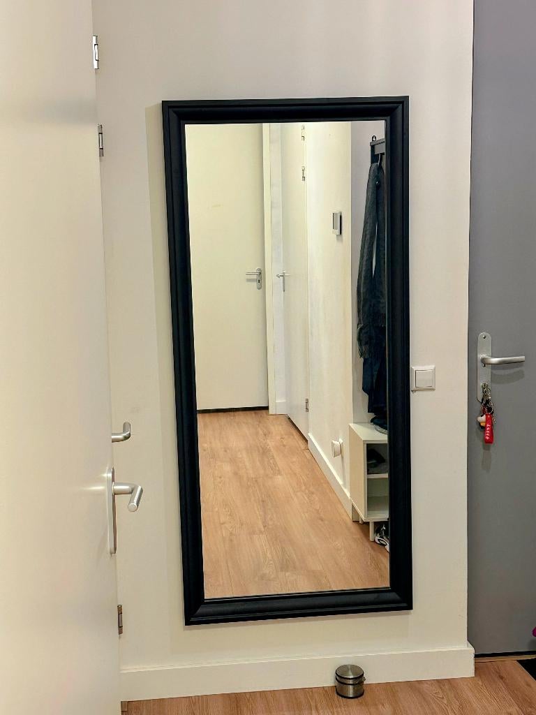 IKEA TOFTBYN Wall Mirror, Ophalen, Zo goed als nieuw, 75 tot 100 cm, 150 tot 200 cm